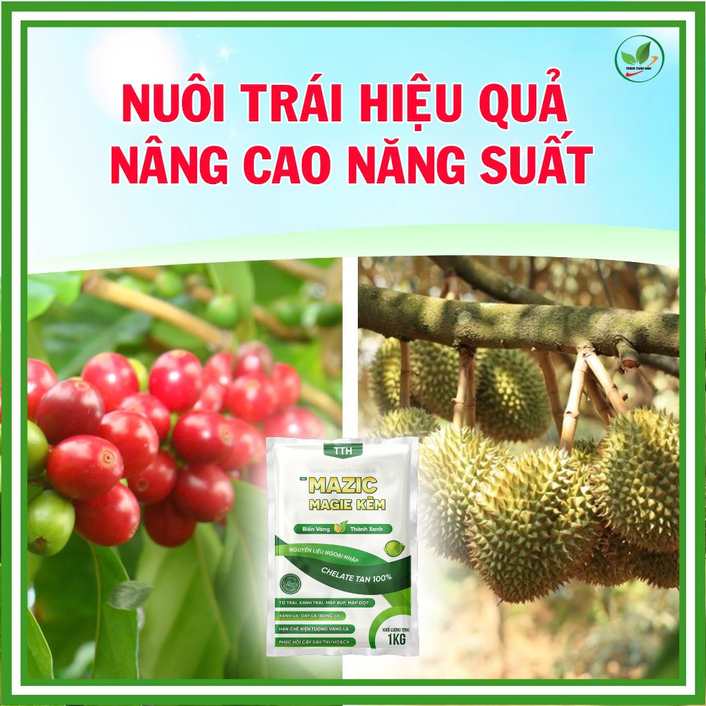 Phân bón Mazic Magie Kẽm (Phú sĩ FJ-09): Bí quyết phục hồi vàng lá, tăng chồi cực mạnh, Gói 1Kg