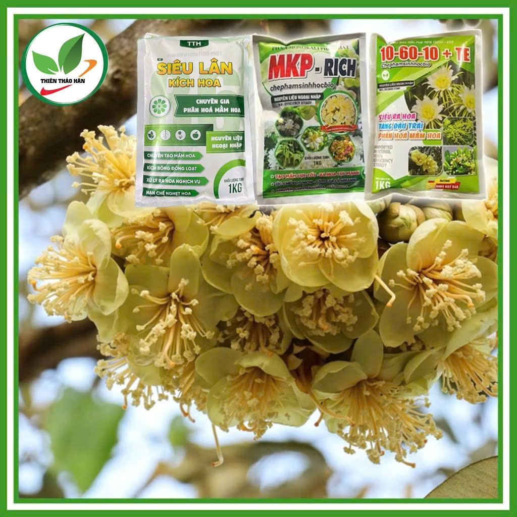 Combo bộ 3 siêu ra hoa.Mỗi loại 1kg