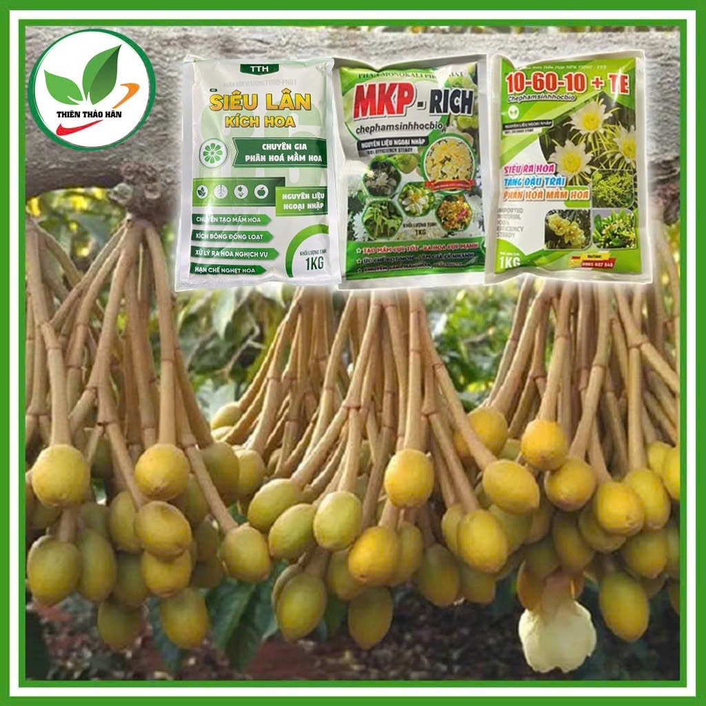 Combo bộ 3 siêu ra hoa.Mỗi loại 1kg