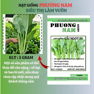 5 Gram - Hạt Giống Cải Ngọt F1 Phương Nam