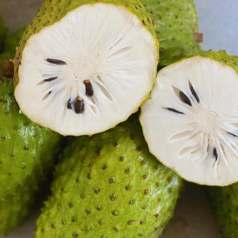 Cây Giống Mãng Cầu Xiêm Thái – Trái To Nhiều Cơm, Cực Sai Quanh Năm