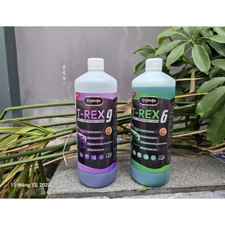 Dung Dịch Rửa Xe Không Chạm, Nước Rửa Xe Ekokemika Bio 1L SIÊU BÓNG, SIÊU SẠCH Tặn kèm 5 gói viên sủi lau kính