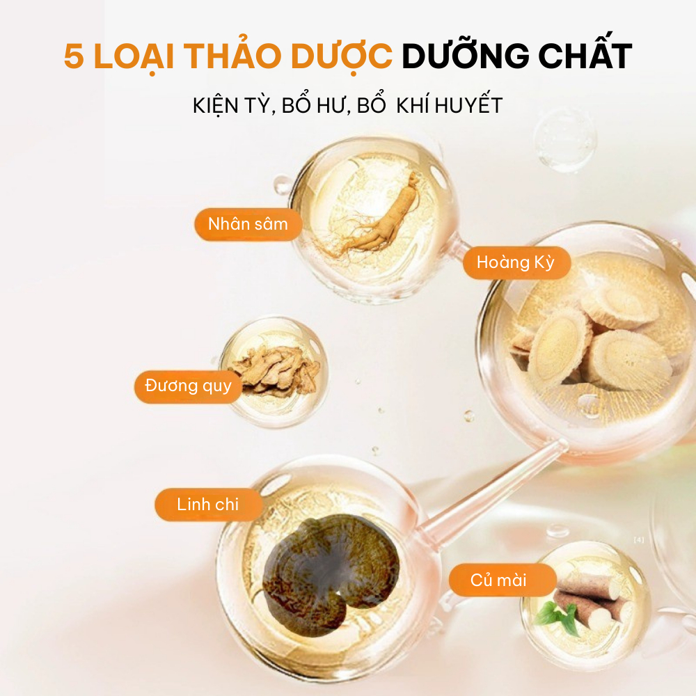 Gel Dinh Dưỡng Tăng Cường Miễn Dịch Thú Cưng DrVet