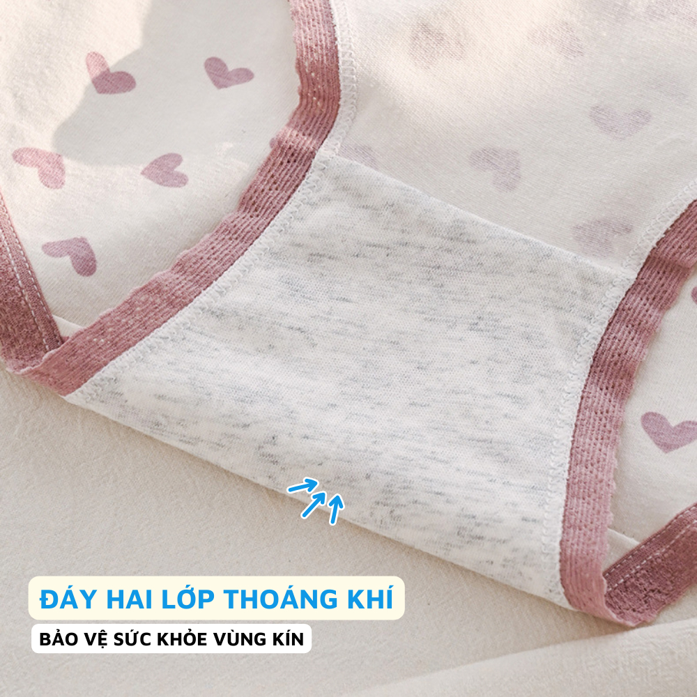 [ Xả Hàng ] Quần Lót Nữ Đính Nơ, Quần Lót Cotton Dễ Thương Baby ZANABRA L110