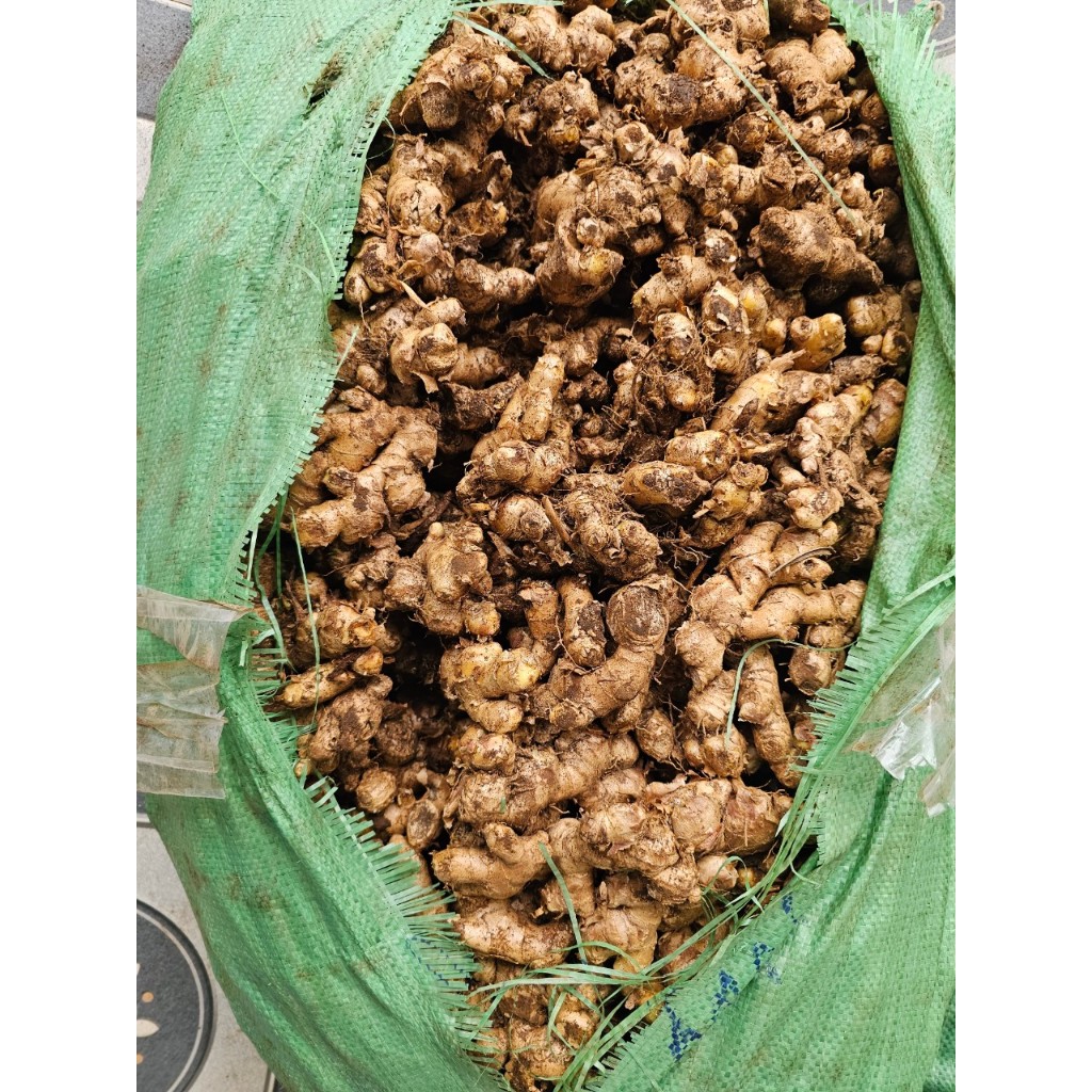 Bột gừng Gió Quê (nguyên chất - không đường), hũ 50gr