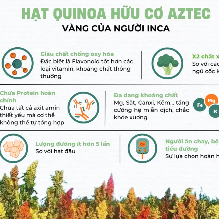 Hạt diêm mạch Quinoa hữu cơ C'lavie/ Sottolestelle/ Aztec Organic