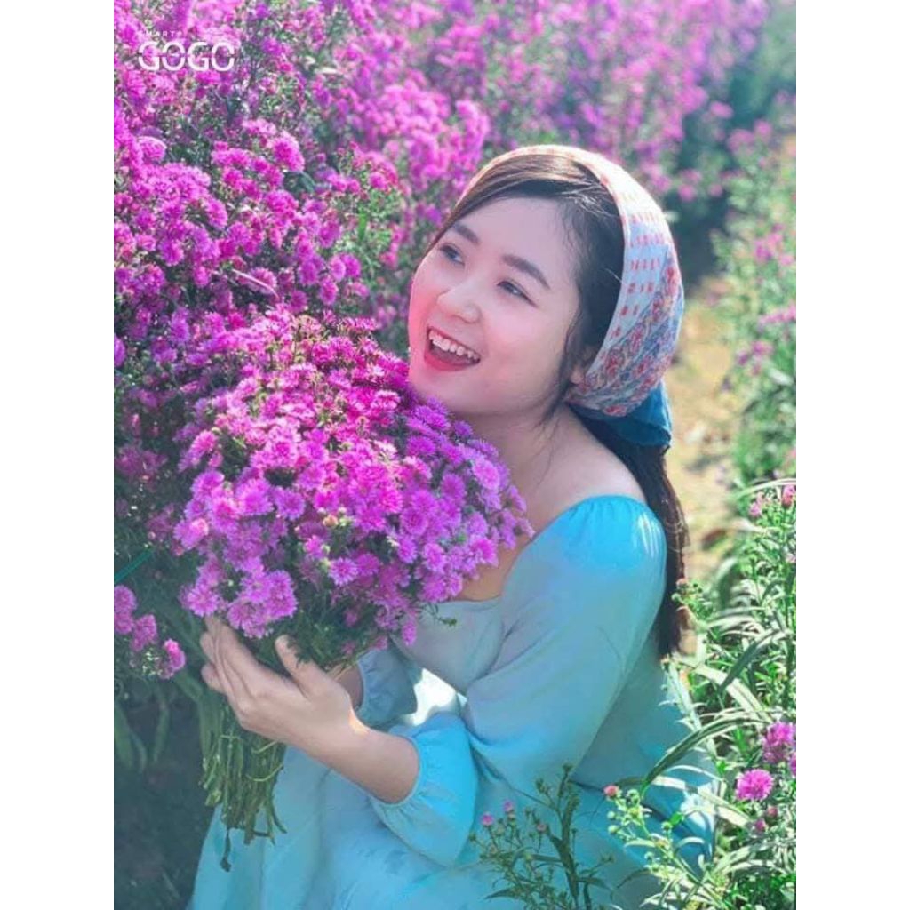 1 bó cây giống hoa thạch thảo 100 cây ♥️ rễ trần Siêu Khoẻ Đẹp Dễ Trồng