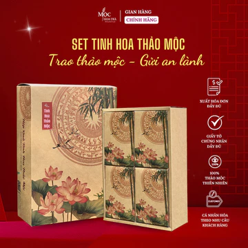 Set Quà Tinh Hoa Thảo Mộc – Trà Thảo Mộc Quà Tặng Sức Khỏe Lễ Tết Doanh nghiệp & Cá nhân | Mộc Hoa Trà