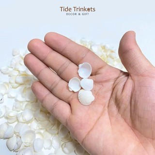 100gr vỏ sò bi trắng loại 1 dùng làm đồ handmade, chuông gió, trang trí bể cá