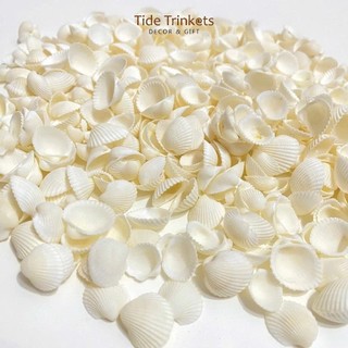 100gr vỏ sò bi trắng loại 1 dùng làm đồ handmade, chuông gió, trang trí bể cá