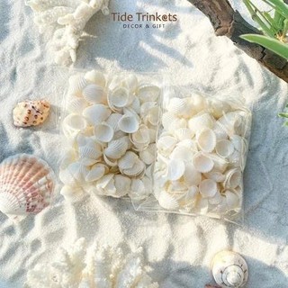 100gr vỏ sò bi trắng loại 1 dùng làm đồ handmade, chuông gió, trang trí bể cá