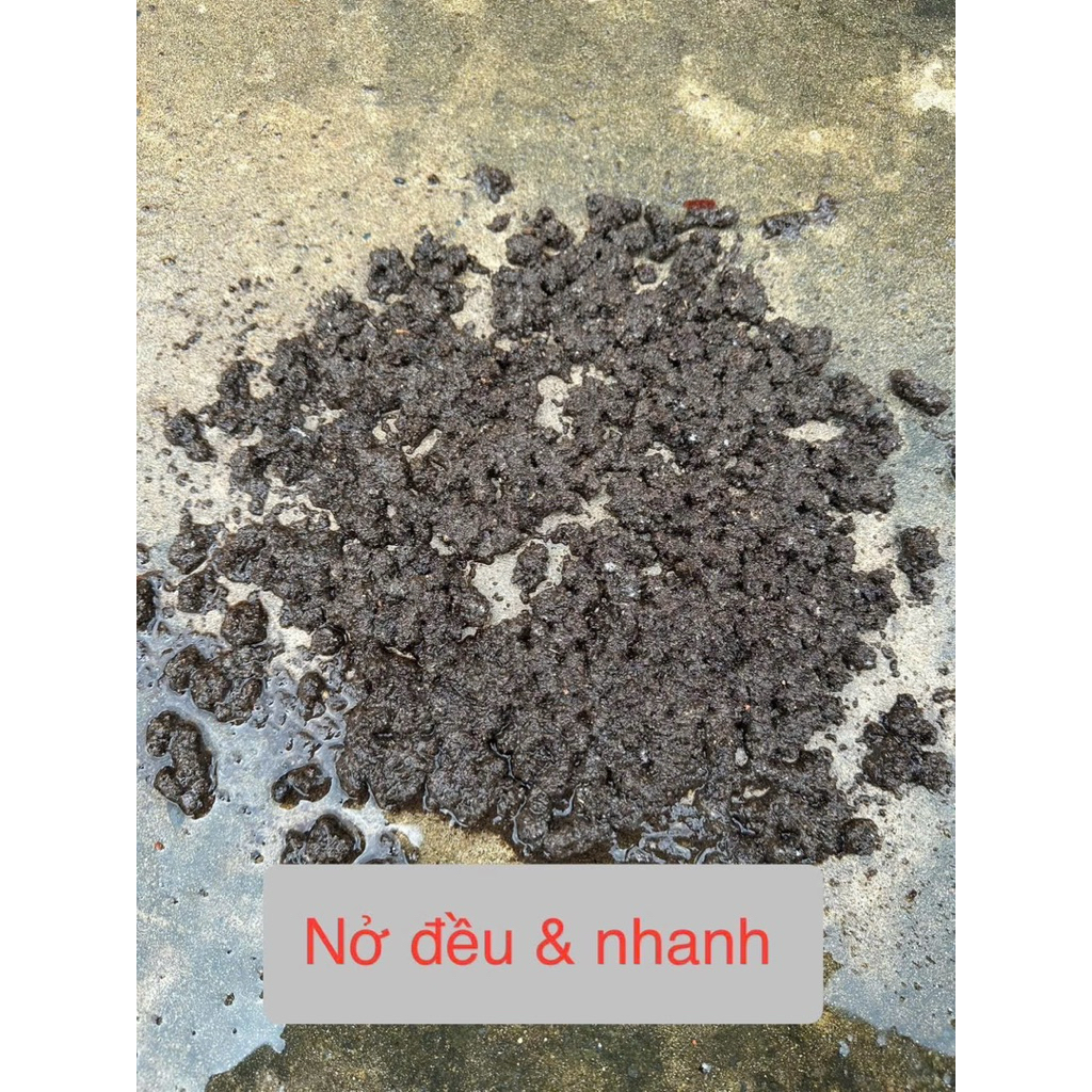 Phân hữu cơ Seiko Organic- có chứng nhận Thú Y Hà Lan không mang bệnh về vườn- Đất khỏe, rễ khỏe (chiết từ bao 25 kg)