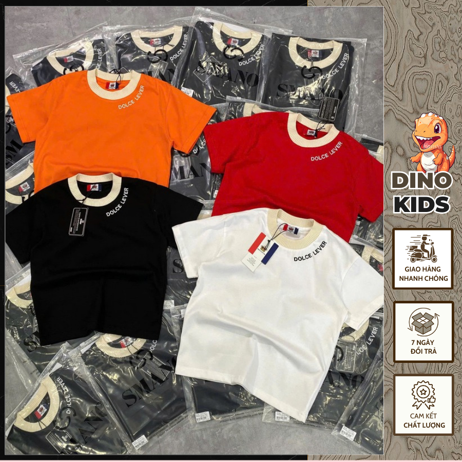 Áo Phông Nam Dsq Cổ Bo Chun Thêu Chữ Siêu Đẹp - Áo Thun Bé Trai Dsq Hàng Cao Cấp