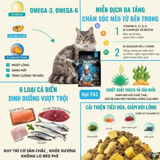 Thức ăn cho mèo Bite of Wild 50g