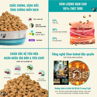 Thức ăn cho mèo Bite of Wild 50g