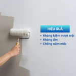 Sơn lót chống kiềm ngoại thất X-Paint - Sơn S3000 lon 5kg chống ẩm, chống thấm + Tặng kèm lu lăn (Rulo) + chổi sơn — ảnh 5