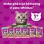 Thức Ăn Dạng Sốt Cho Mèo Trưởng Thành, Pate Whiskas Cho Mèo Trên 1 Tuổi Gói 80g Pet Kool