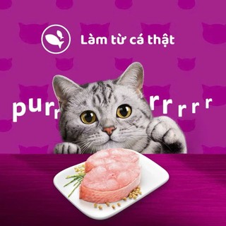 [COMBO] Thức Ăn Dạng Sốt Cho Mèo Trưởng Thành, Pate Whiskas Cho Mèo Trên 1 Tuổi Gói 80g Pet Kool