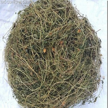 Dây Khổ Qua Rừng 1kg Loại 1 Giúp Ổn Định Đường Huyết Đánh Bay Tiểu Đường Gout Hạ Men Gan Dùng Làm Trà