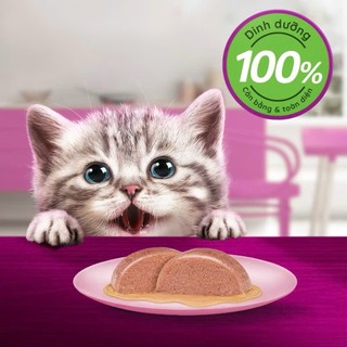 [COMBO] Thức Ăn Dạng Sốt, Pate Whiskas Cho Mèo Con Túi 80g Cá Ngừ, Cá Hồi, Cá Thu Bổ Sung Dinh Dưỡng Pet Kool