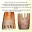 Lược sừng massage đầu, lược massage gội đầu dưỡng sinh ống gió giảm đau đầu, lưu thông khí huyết- MỸ NGHỆ DƯỠNG SINH