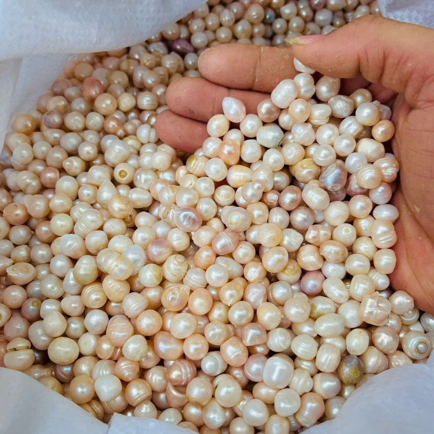 Hạt Trai Thật (HẠT NGUYÊN) - Phong thủy Cốt Thất Bảo, mang đến trường thọ, bình an - Trai nước ngọt
