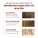 [Độc quyền Diệp Lê x OKCS] Kem ủ tóc OKCS phục hồi chuyên sâu 3 cấp độ cho tóc hư tổn giúp tóc khỏe mềm mượt chuẩn Salon — ảnh 7