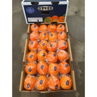 [ HỎA TỐC ] Thùng Cam nam phi lun thùng 15KG