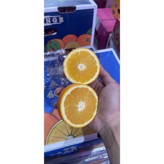 [ HỎA TỐC ] Thùng Cam nam phi lun thùng 15KG