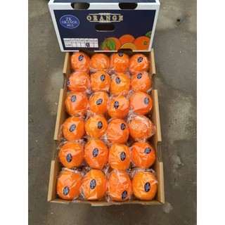 [ HỎA TỐC ] Thùng Cam nam phi lun thùng 15KG