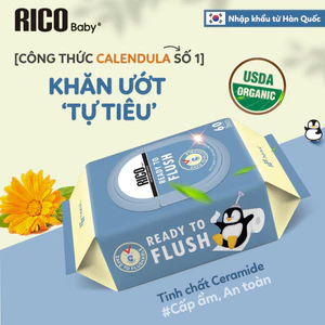 Khăn Ướt Lớn RICO BABY Dòng Ngẫu Nhiên