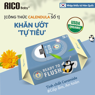 [GIFT] Khăn Ướt Lớn RICO BABY Dòng Ngẫu Nhiên