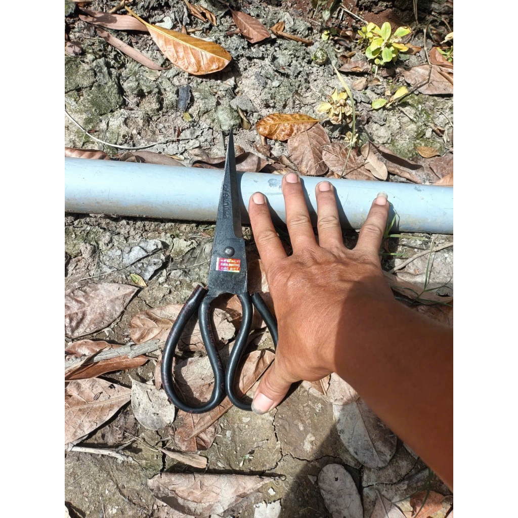 Kéo [ PA 1 ] Thép Chuyên Làm Cá - Phương A1 CHÍNH HÃNG ( LƯỠI 14CM, CÁN 10CM ) KÉO LÀM CÁ, CẮT TỈA