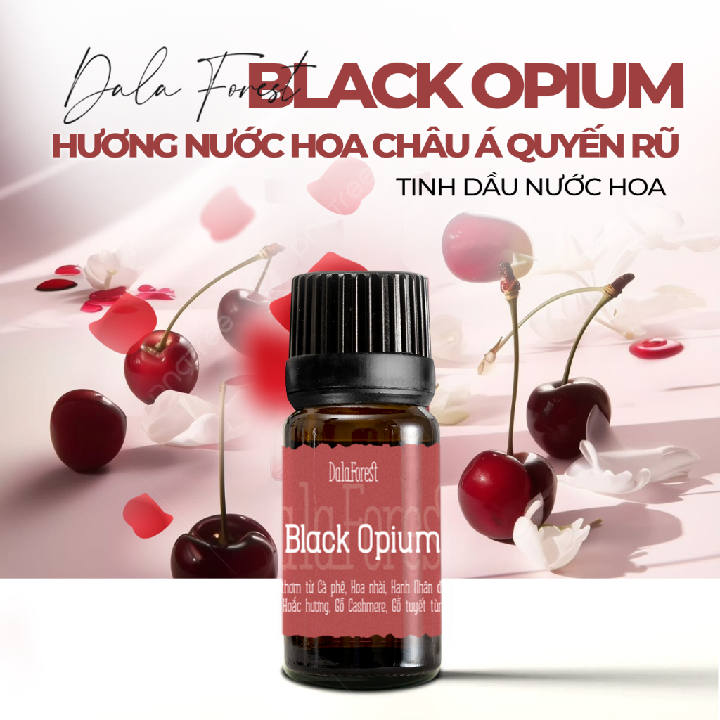 Tinh Dầu Black Opium - Hình ảnh thực tế