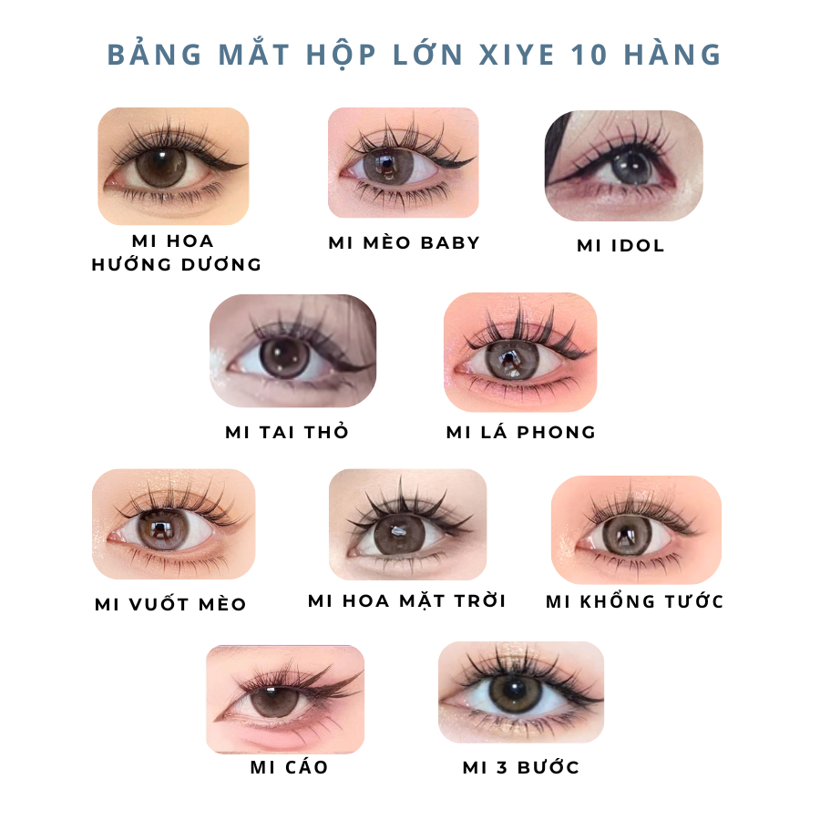 Mi giả sẵn keo HỘP LỚN 10 hàng có sẵn keo tự nhiên không kích ứng có thể tái sử nhiều lần mi tự dính