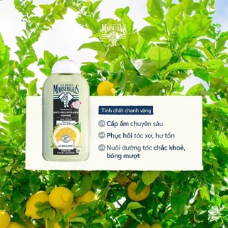 Dầu Gội Giảm Gàu Nam Le Petit Marseillais Hữu Cơ & Tinh Dầu Thiên Nhiên