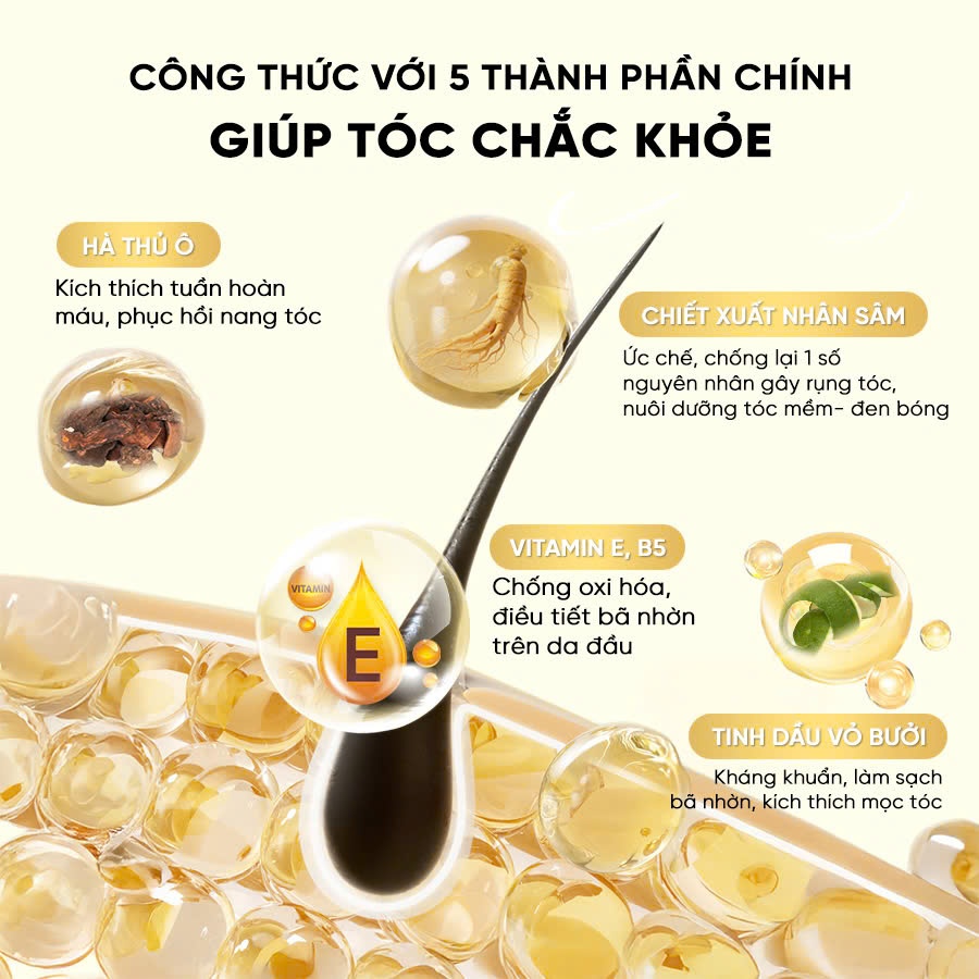 [ TẶNG DẦU XẢ 500ML ] Dầu Gội Xả Bưởi Hà Thủ Ô Susoft – Giảm Gàu và Bết Tóc, Bóng dầu, Kích Mọc Tóc, An Toàn - 500ml