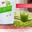 Bột Cần Tây Sấy Lạnh Nguyên Chất Gói 50gr - Hỗ trợ giảm cân, giảm mỡ bụng, giảm mụn