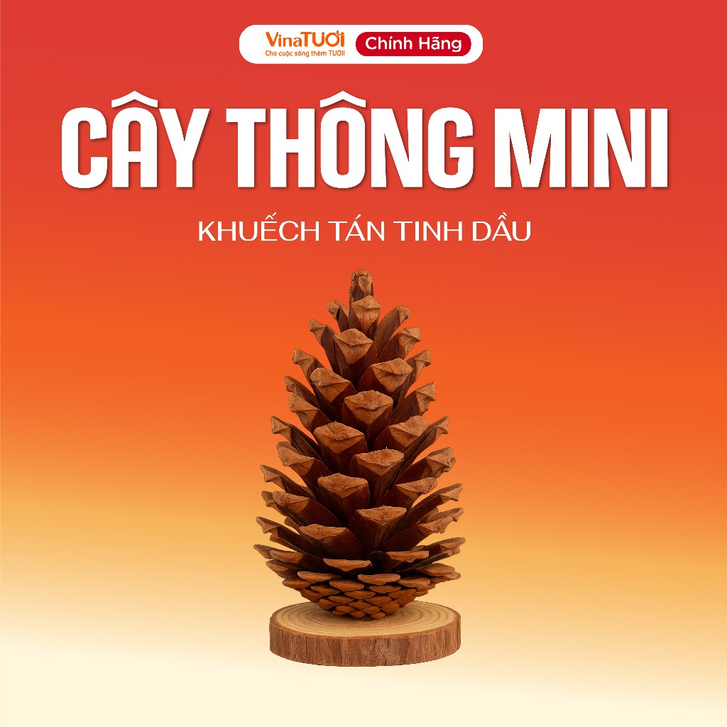 Cây thông Noel mini Vina TƯƠI khuếch tán tinh dầu | Shopee Việt Nam