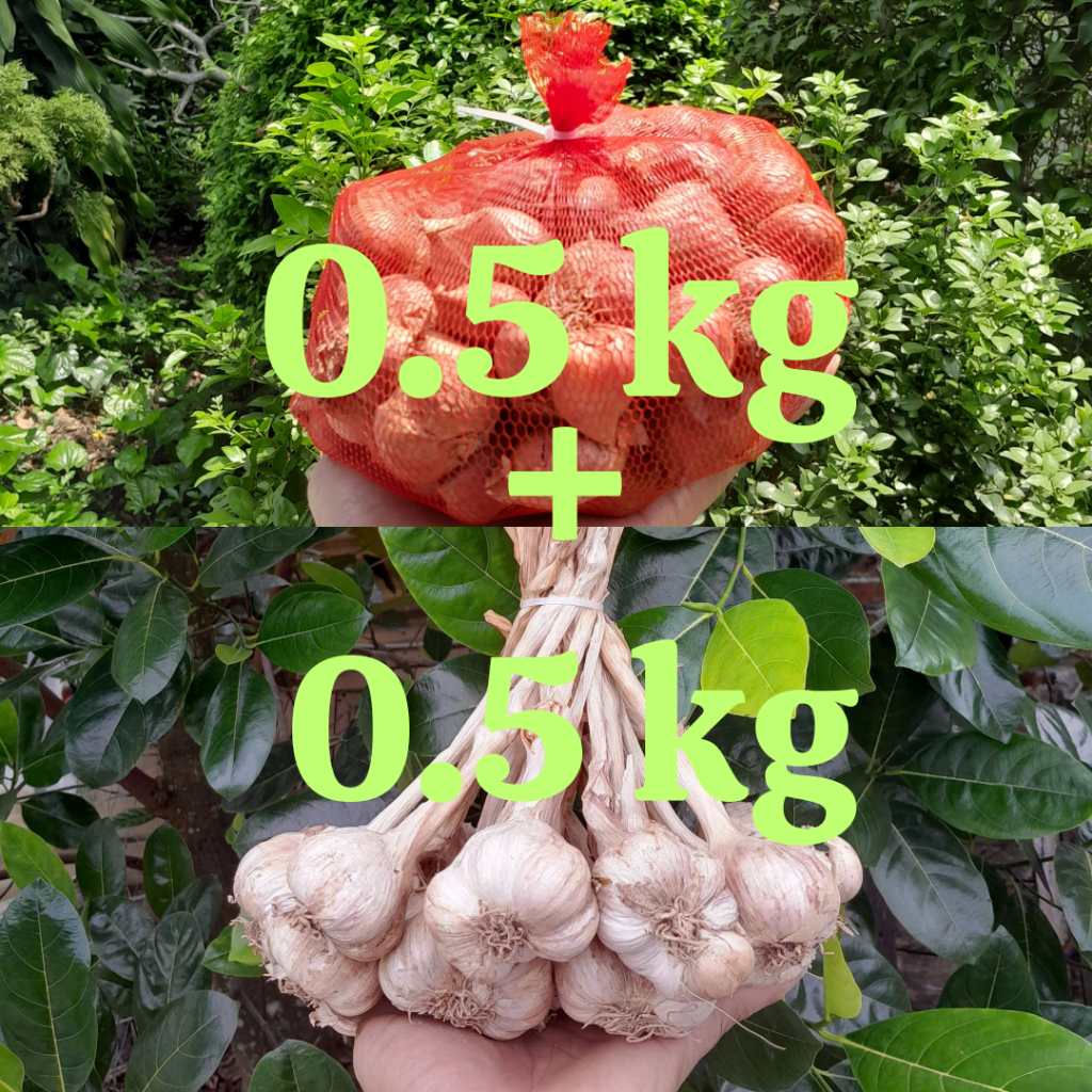 Combo 0.5 kg tỏi Ta + 0.5 kg Hành ta Kinh Môn Hải Dương chon lọc loại 1 .