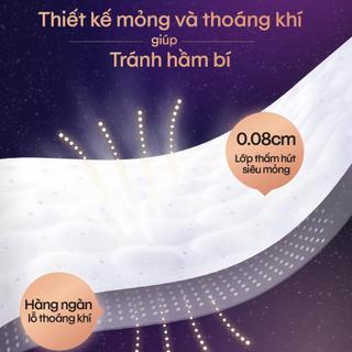 Thùng 8 gói BVS Kotex Ban Đêm Dạng Quần cỡ M/L 5 miếng