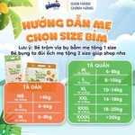 (4A) [TẶNG 2 QUÀ NỒI LẨU ĐIỆN + NGỰA ] Combo 4 Bịch Tã/ Bỉm AMOR NATURAL VIỆT NAM Mỏng Nhẹ, Đủ Size NB68 - 4XL34 — ảnh 2