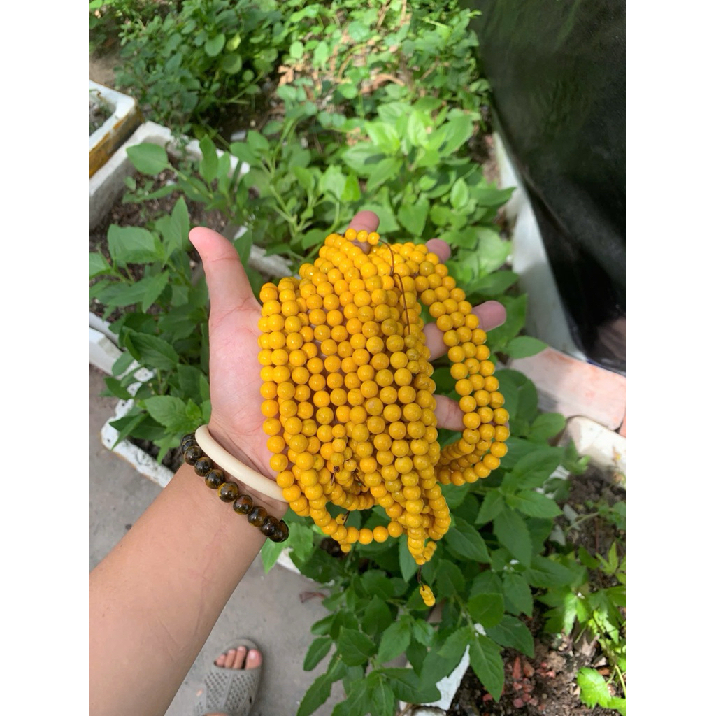 chuỗi 108 hạt san hô vàng 8ly