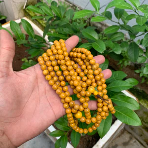 chuỗi 108 hạt san hô vàng 8ly
