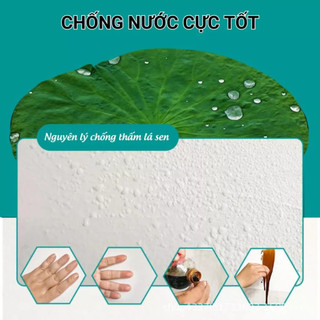 Bình Xịt Sơn Màu Trắng Tường Nhà 800ml – Che Vết Bẩn, Chống Nấm Mốc, Tân Trang Tường Nhanh Gọn