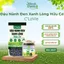 Đậu nành đen xanh lòng hữu cơ C'LaVie 100g