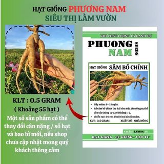 0.5 Gram - Hạt Giống Sâm Bố Chính Phương Nam