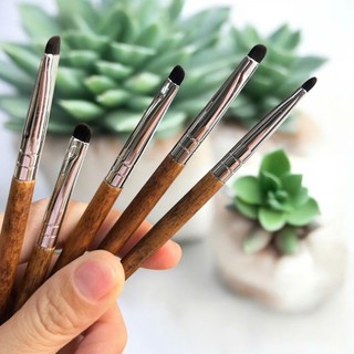 cọ tán màu mắt dẹp nhí thân gỗ lông mềm