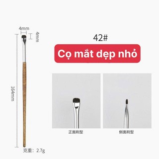 cọ tán màu mắt dẹp nhí thân gỗ lông mềm