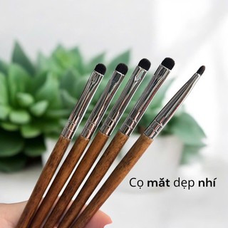 cọ tán màu mắt dẹp nhí thân gỗ lông mềm